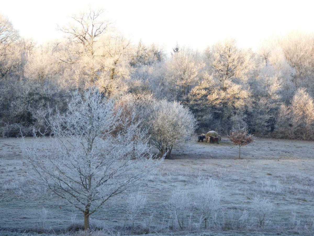 La Croix Gites Pressignac Exterior foto