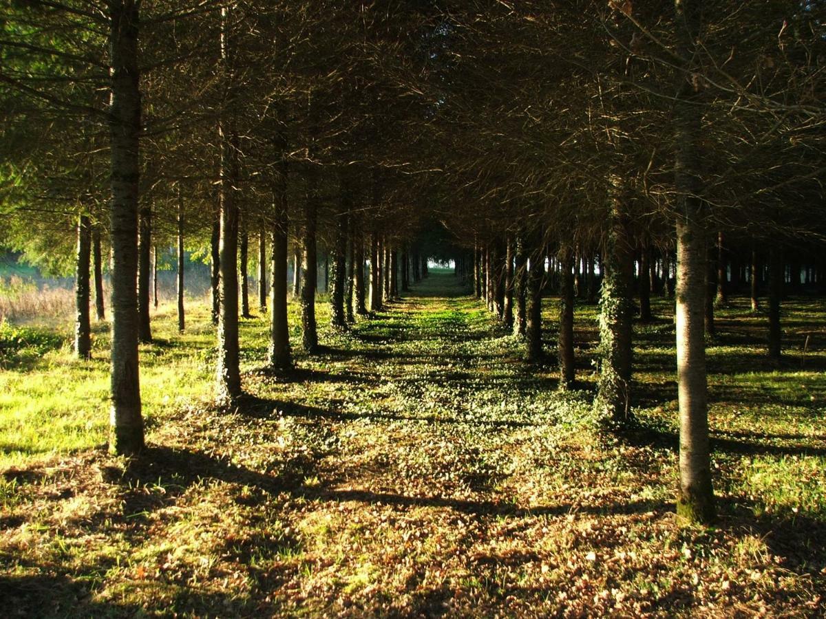 La Croix Gites Pressignac Exterior foto
